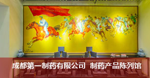 成都第一制药有限公司